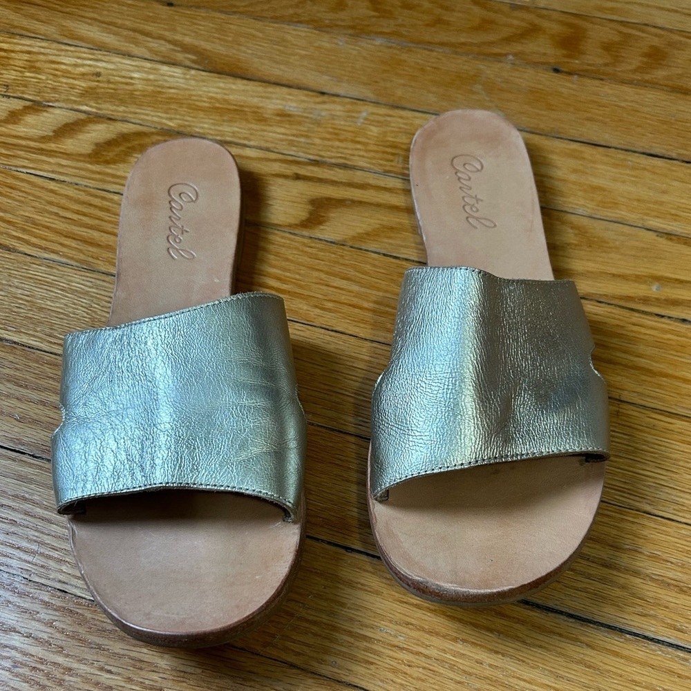 Cartel Gold Abata sandals, size 10